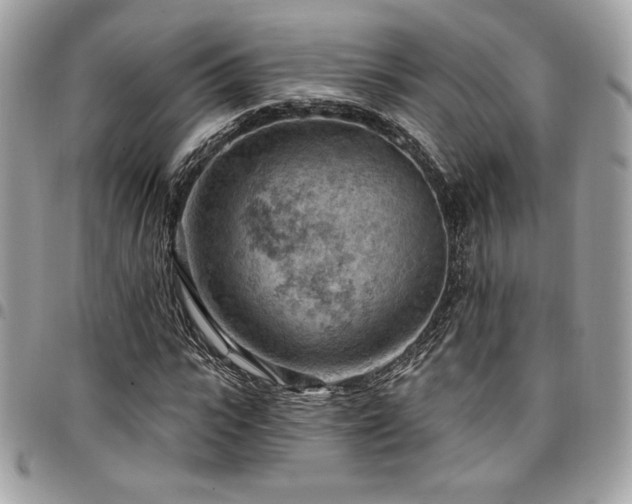 X0000096950919200802081226