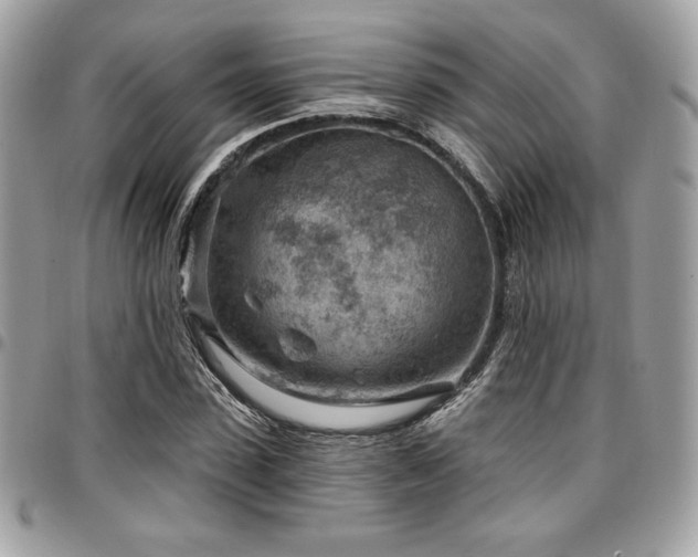 X0000096950923200802081226