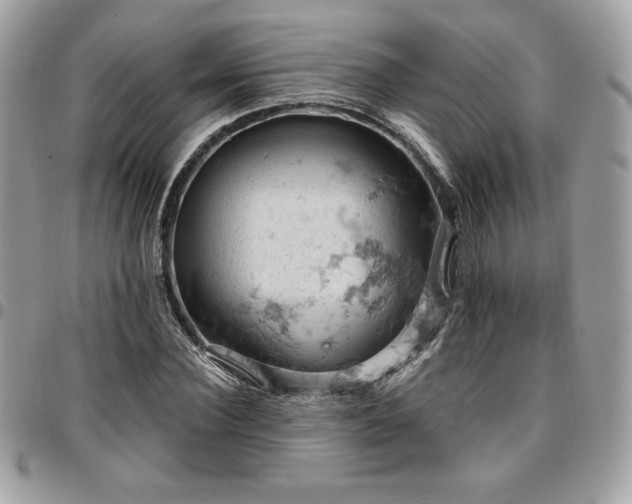 X0000096950924200802081226