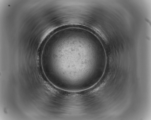 X0000096950926200802081226