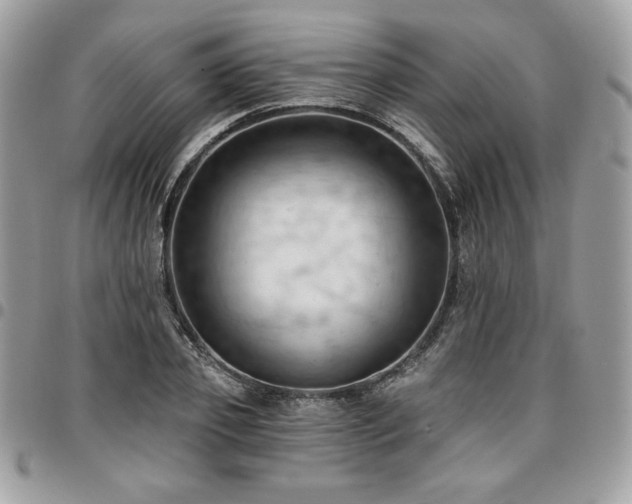 X0000096950933200802081226