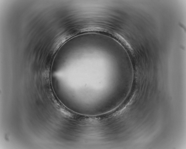 X0000096950937200802081226