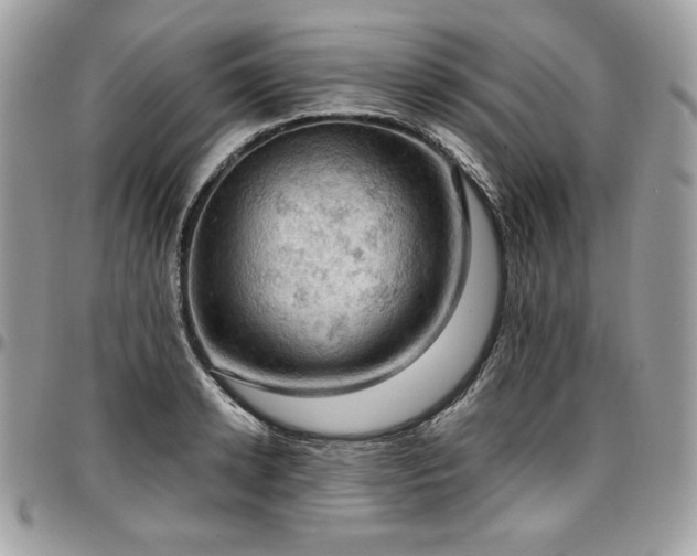 X0000096950942200802081226