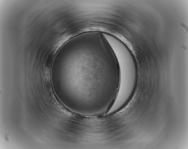 X0000096950945200802081226