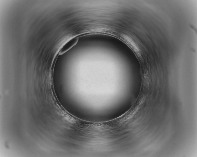 X0000096950948200802081226