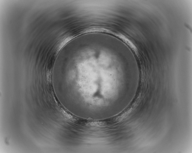 X0000096950953200802081226