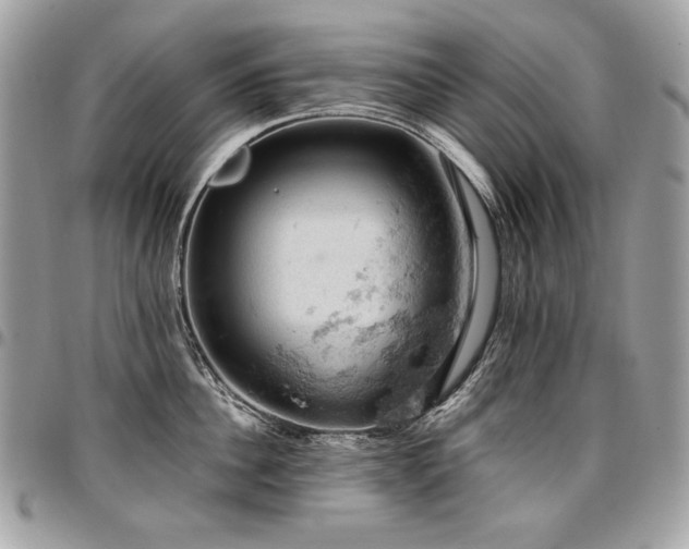 X0000096950956200802081226