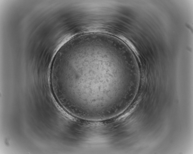 X0000096950957200802081226