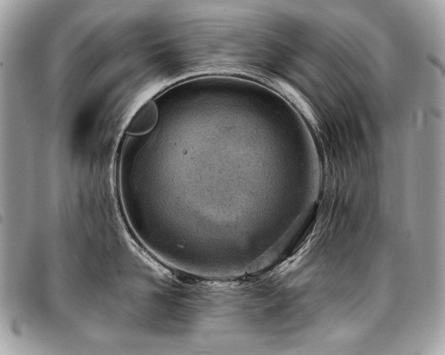 X0000096950958200802081226