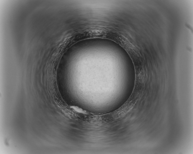 X0000096950961200802081226