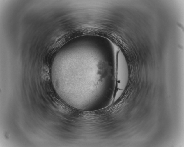 X0000096950964200802081226