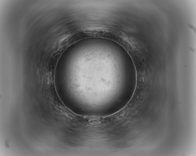 X0000096950965200802081226