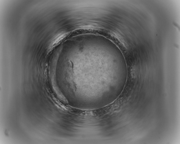 X0000096950968200802081226