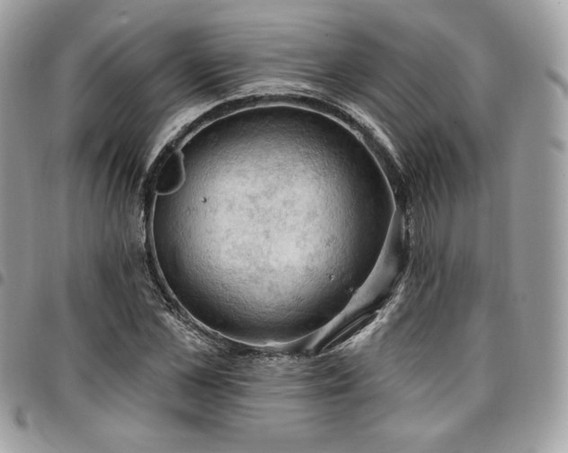 X0000096950973200802081226