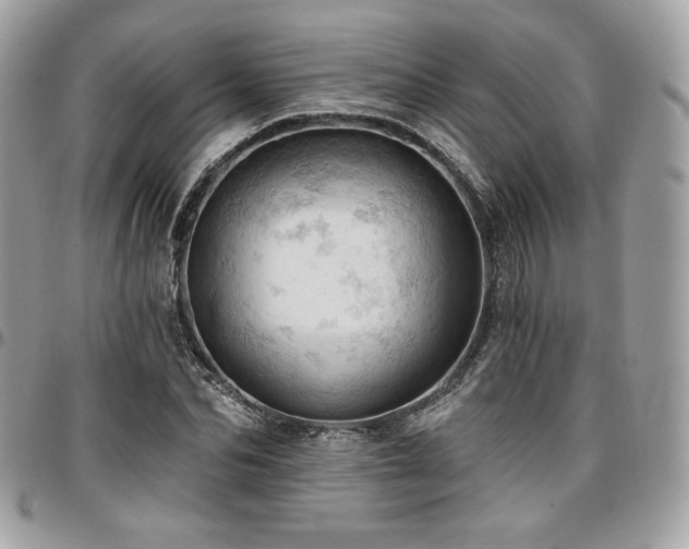 X0000096950974200802081226