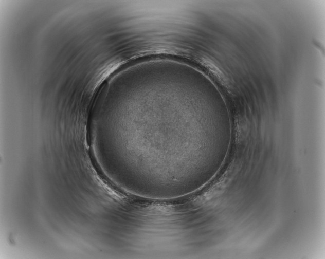 X0000096950977200802081225