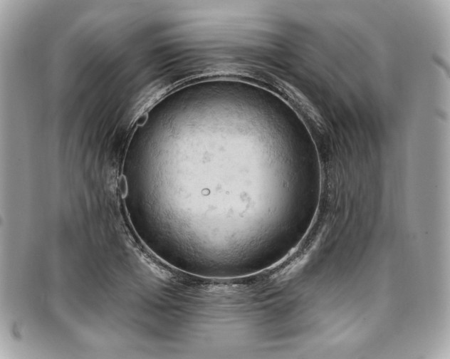 X0000096950985200802081225