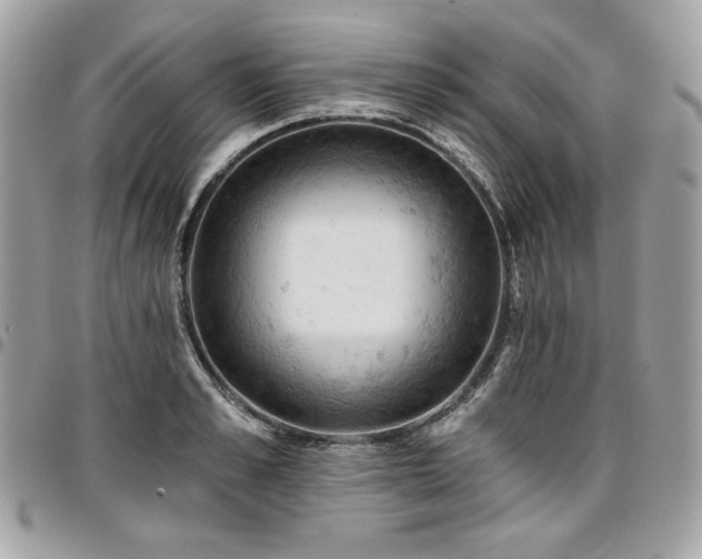 X0000096950989200802081225