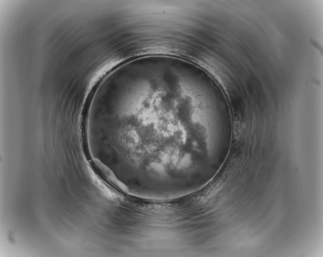 X0000096950995200802081225