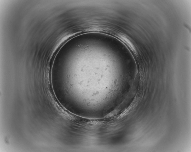 X0000096951000200802081225