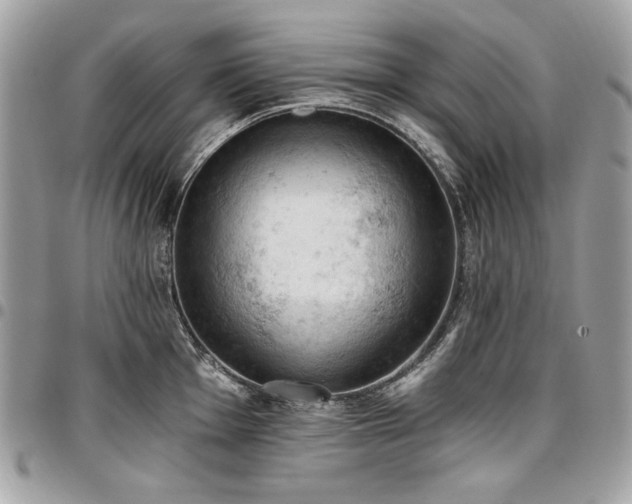X0000096951001200802081225