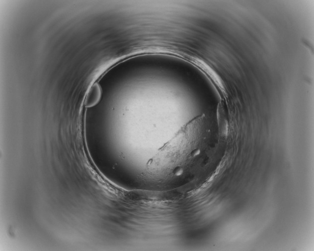 X0000096951004200802081225