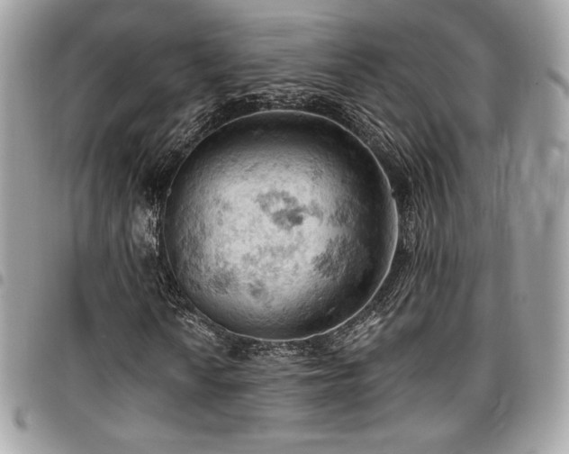 X0000096951010200802081224