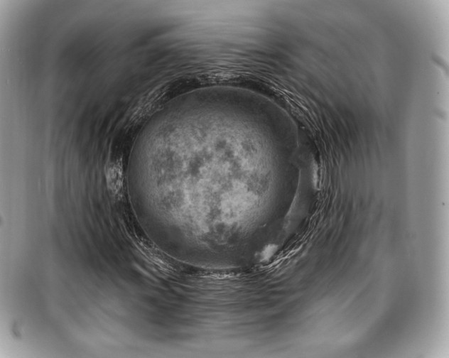 X0000096951011200802081224