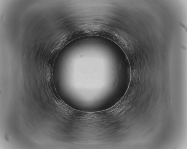 X0000096951012200802081224