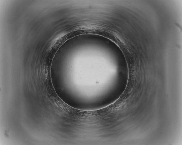 X0000096951016200802081224