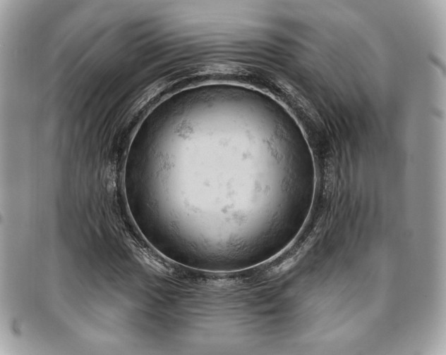 X0000096951017200802081224