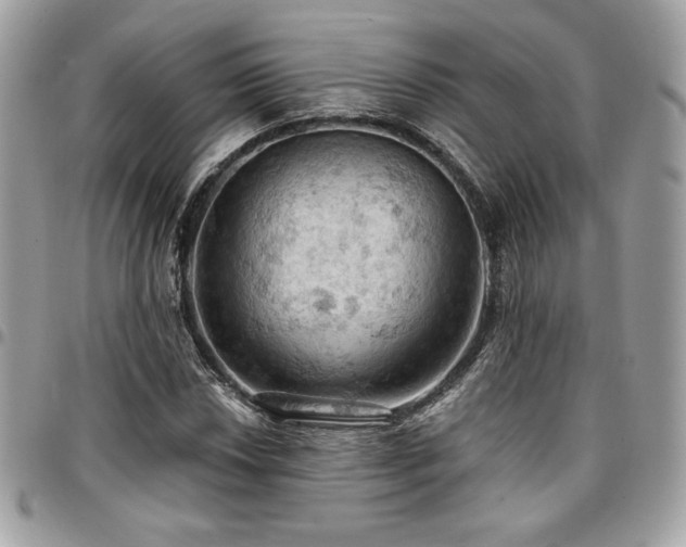 X0000096951018200802081225