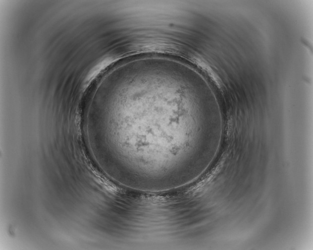 X0000096951019200802081225