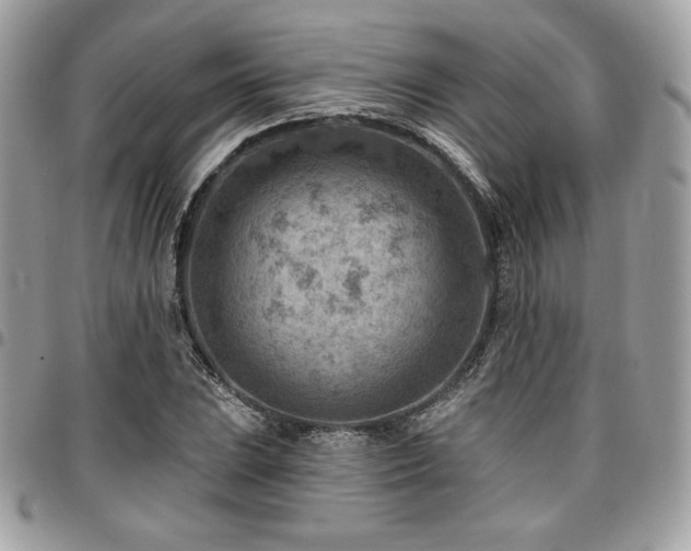 X0000096951023200802081225