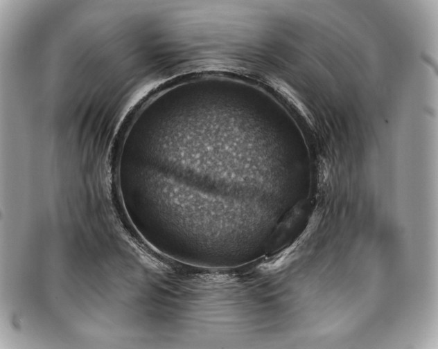 X0000096951024200802081225