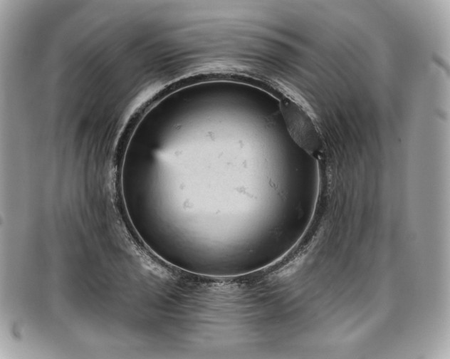 X0000096951029200802081225