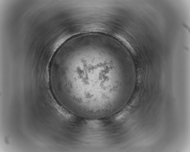 X0000096951031200802081225