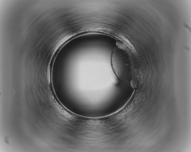 X0000096951036200802081225