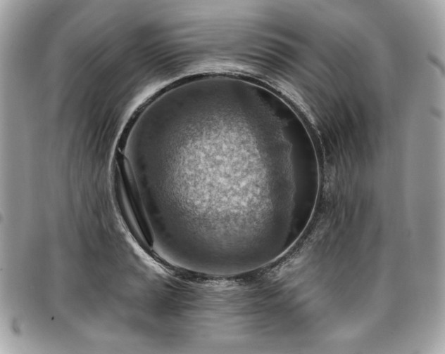 X0000096951037200802081225
