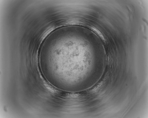 X0000096951039200802081225