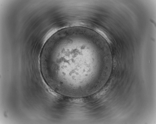 X0000096951047200802081225