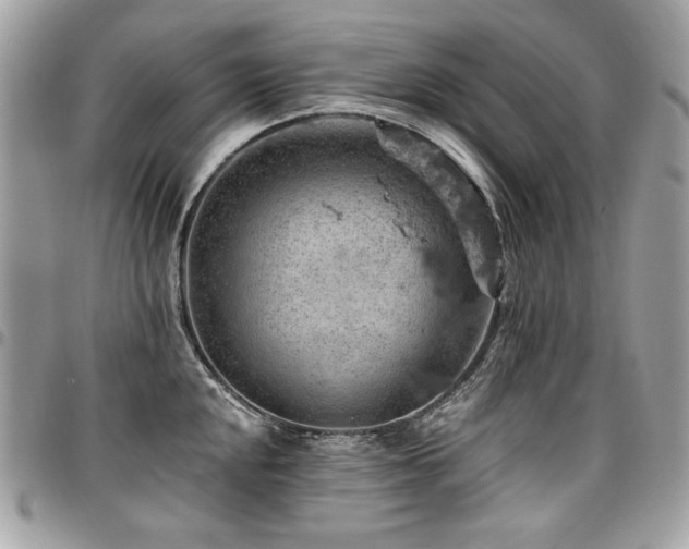 X0000096951048200802081225