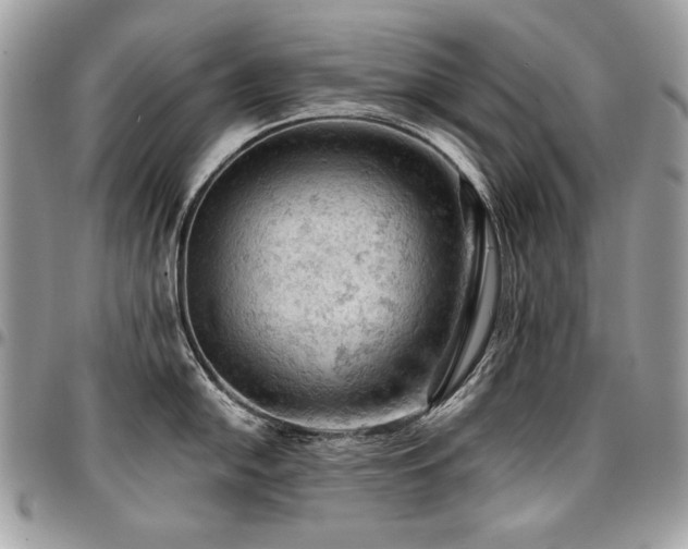 X0000096951054200802081225