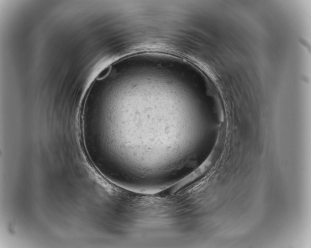 X0000096951056200802081225