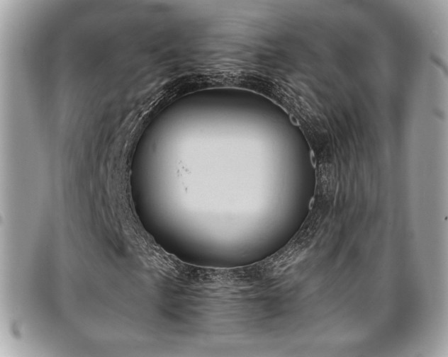 X0000096951057200802081224
