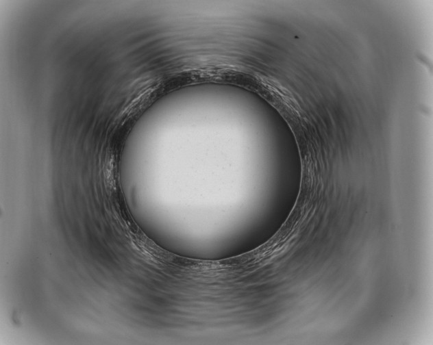X0000096951060200802081224