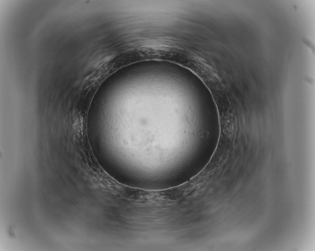 X0000096951061200802081224