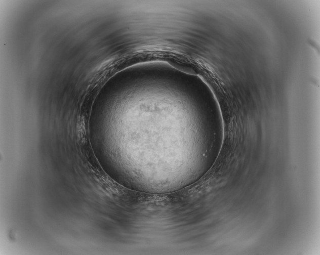 X0000096951062200802081224