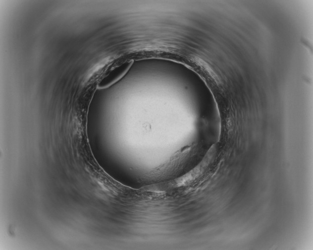X0000096951064200802081224