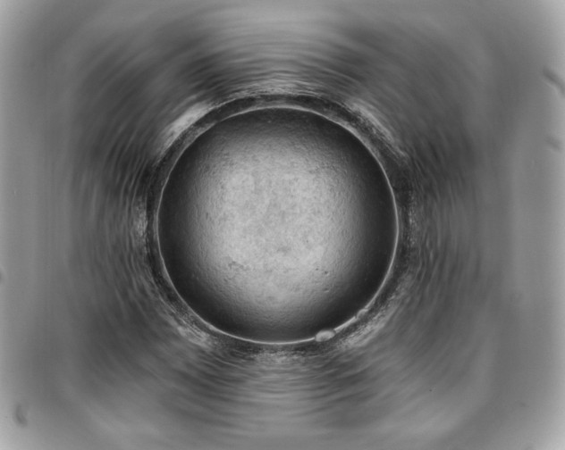 X0000096951065200802081224